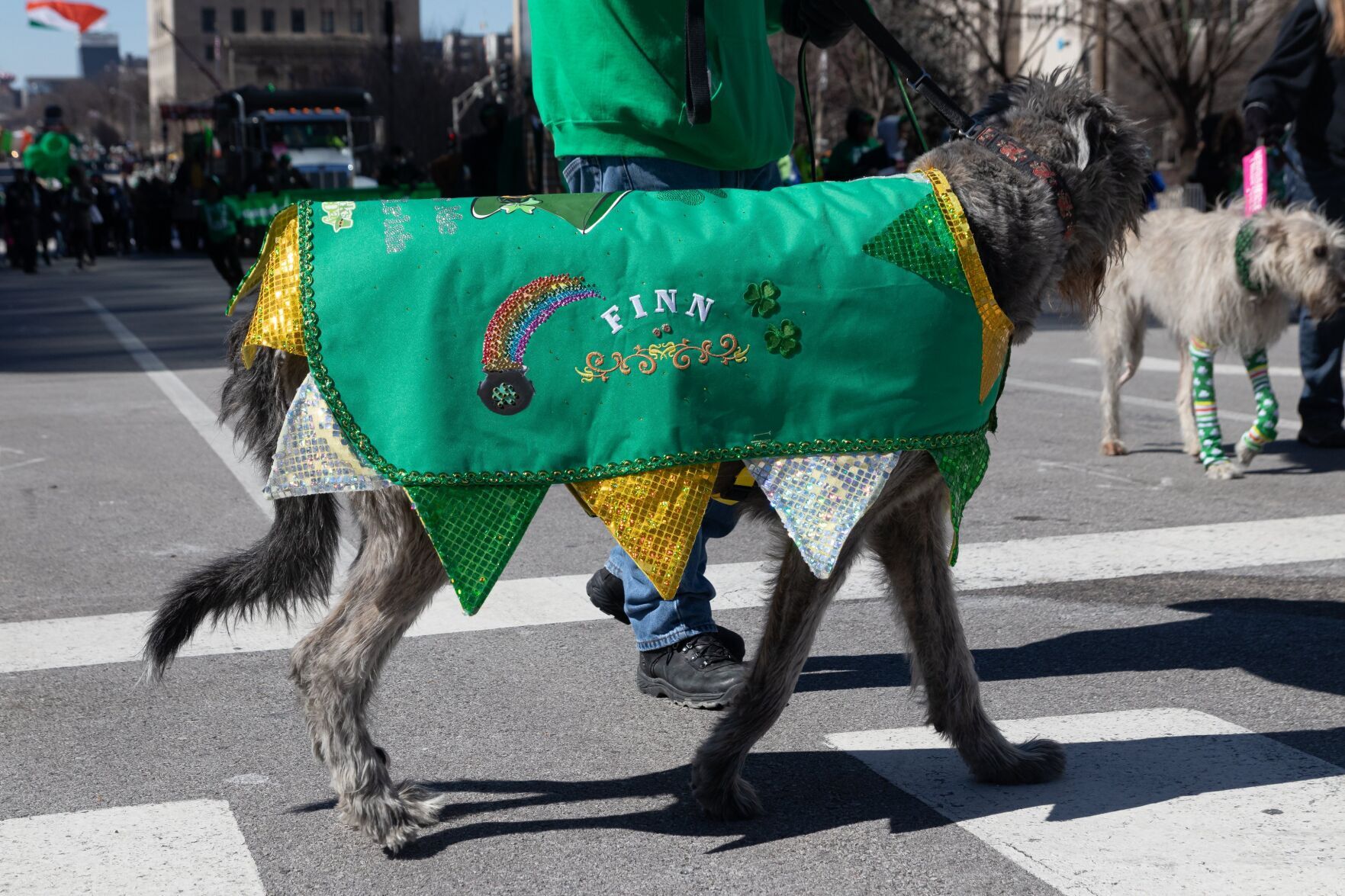 The 53rd Annual Metropolitan St Patrick's Day Parade of St. Louis